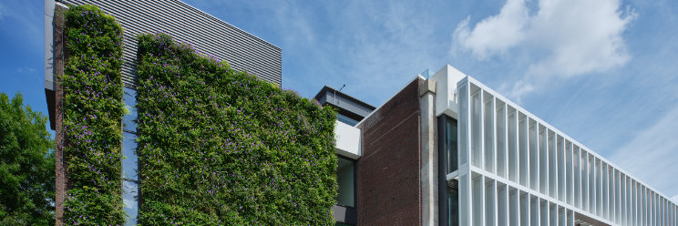 Mobilane GmbH