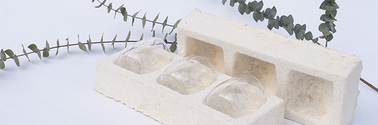 GROWN.BIO - Produkte aus Myzel und landwirtschaftlichen Abfällen